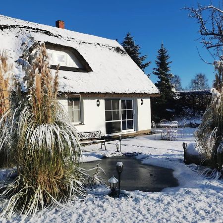 Reetferienhaus - Schaprode Hafen Exterior foto